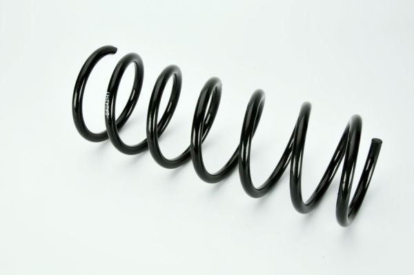 2x Magnum Technology Federn Fahrwerksfedern hinten für Fiat Seicento/600 187_