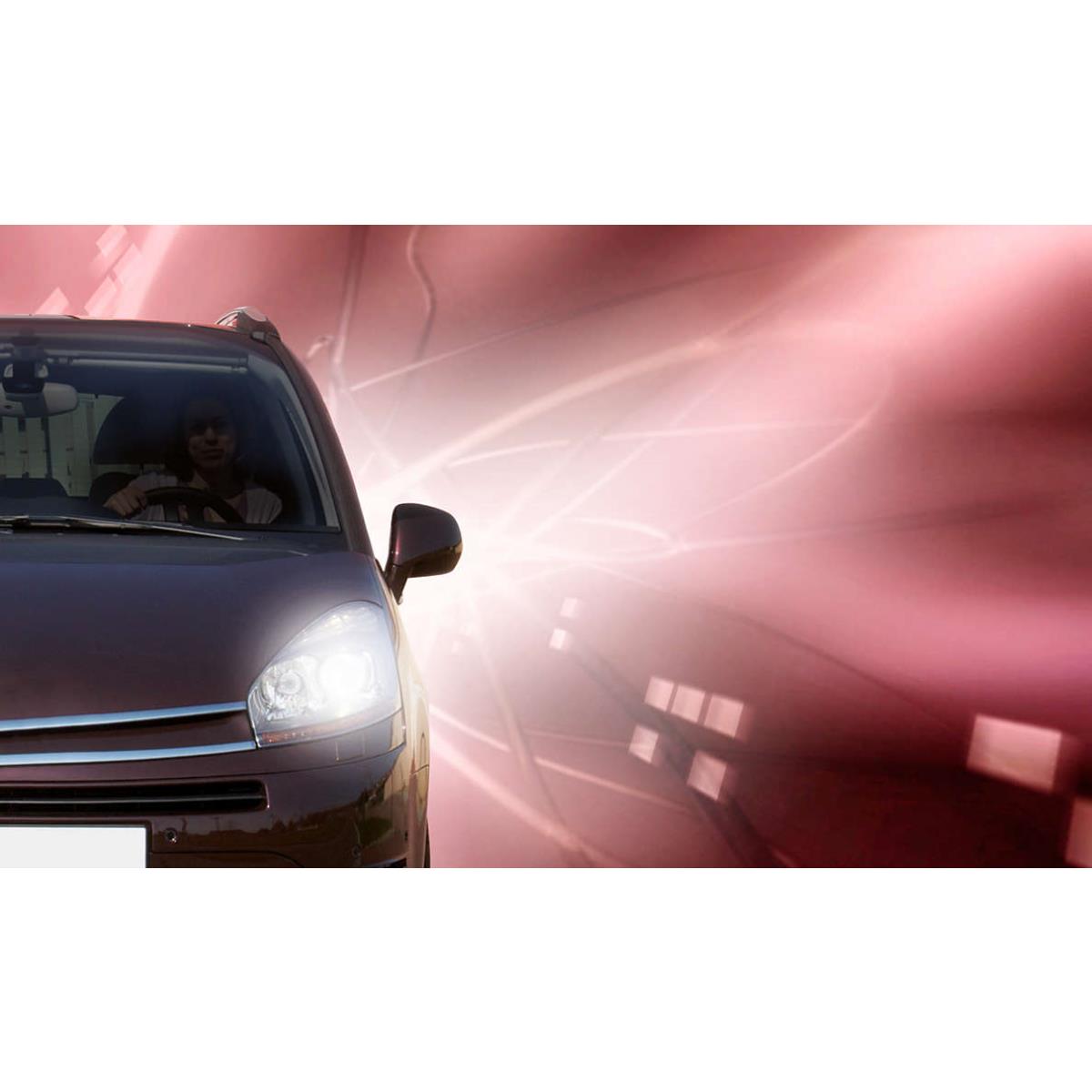 Philips Vision Plus +50% Set 2x H1 12V 55W P14,5s