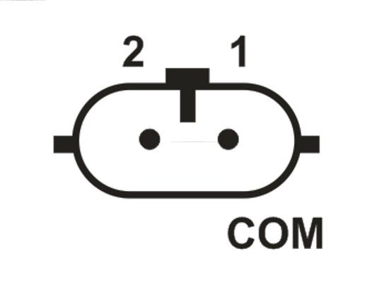 AS-PL Generatorregler Lichtmaschinenregler 12V für Renault Clio III IV