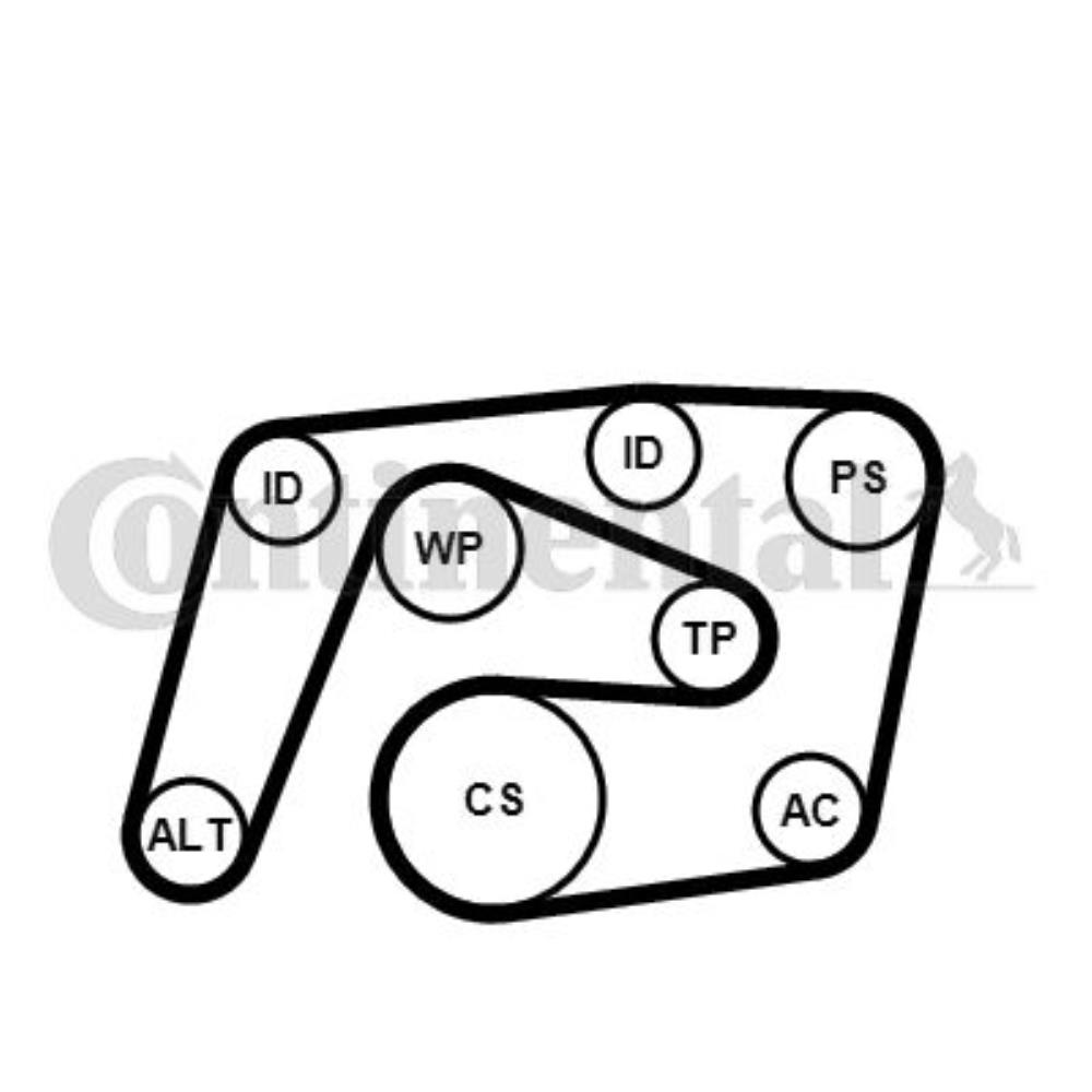 Keilrippenriemensatz 6PK2260K1 für Mercedes-Benz E-Klasse W211 C-Klasse Coupe CL203 W639