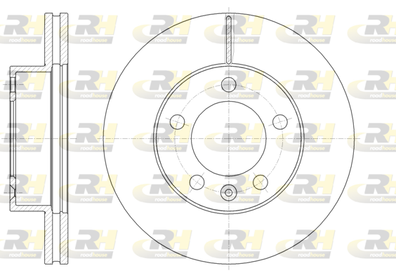 ROADHOUSE 2x Bremsscheiben vorne Ø302 belüftet für Renault Master III Kasten FV