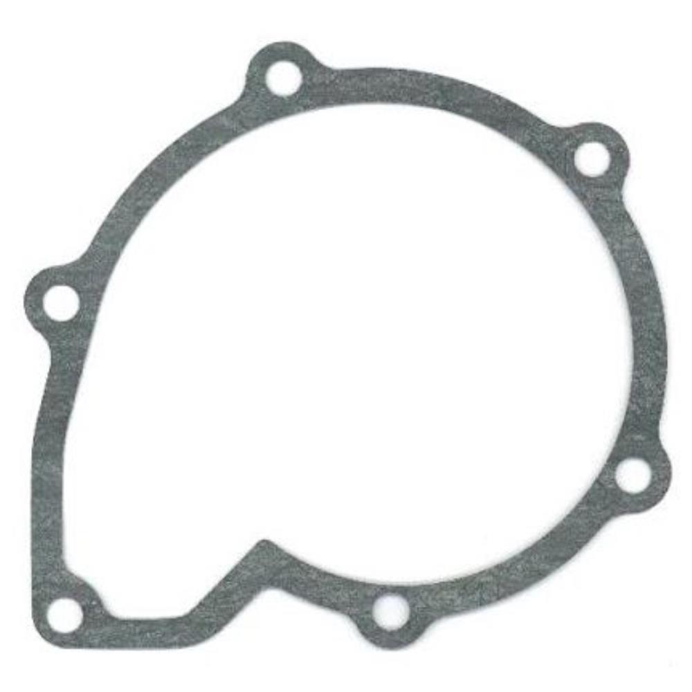 Dichtung Wasserpumpe 098.957 für VW Polo 6N1