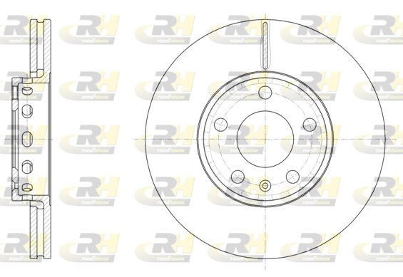 ROADHOUSE 2x Bremsscheiben vorne Ø288 belüftet für Audi A4 8EC B7 8E2 B6 8ED