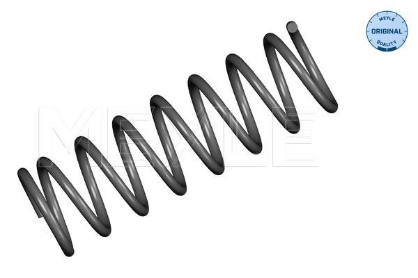 2x MEYLE Federn Fahrwerksfedern hinten für Ford Focus DAW DBW DFW