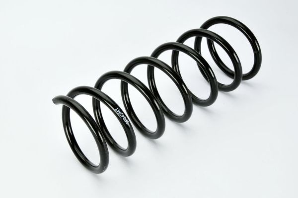 2x Magnum Technology Federn Fahrwerksfedern hinten für Fiat Seicento/600 187_