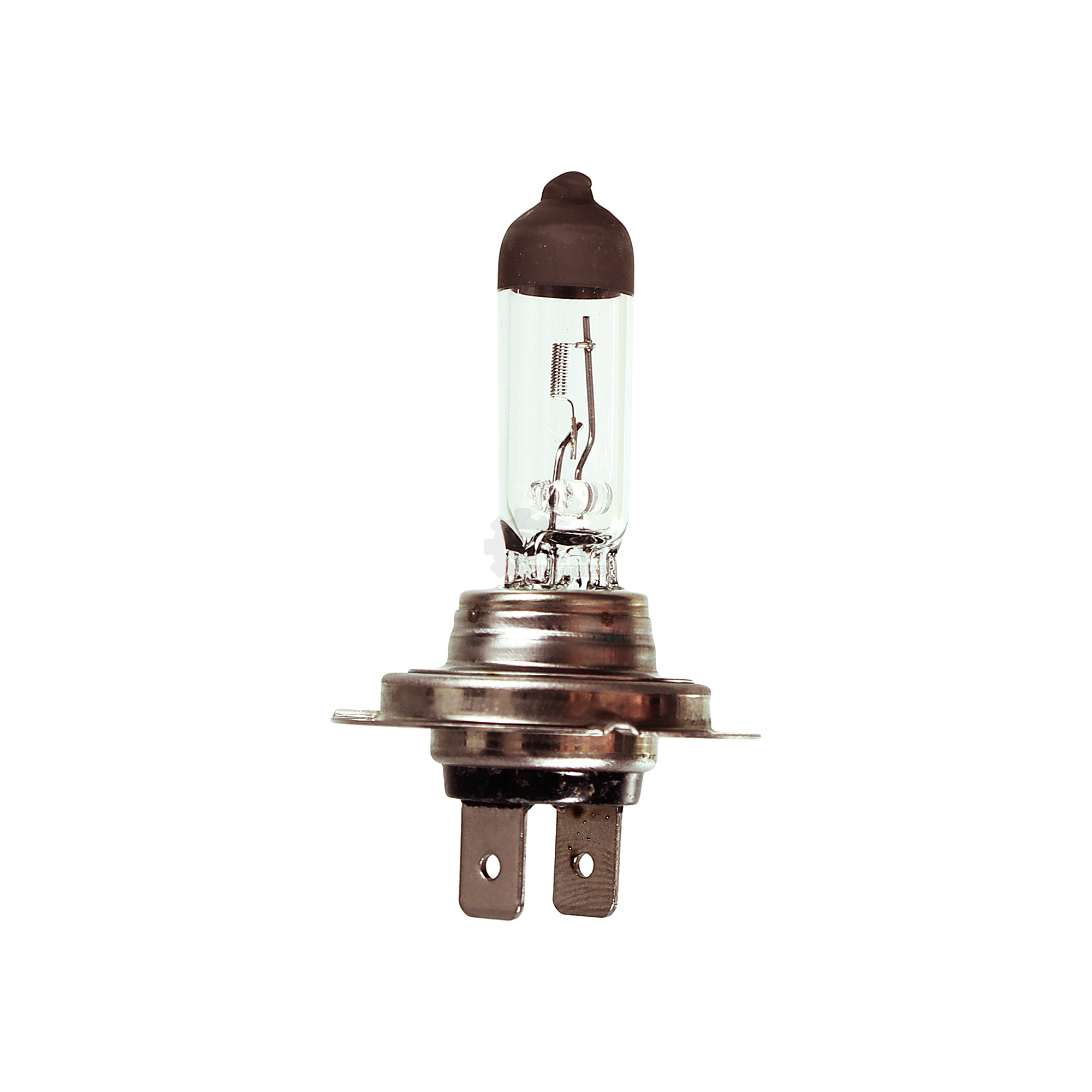 NEOLUX H7 Standard 55W PX26d 12V Lampe Birne