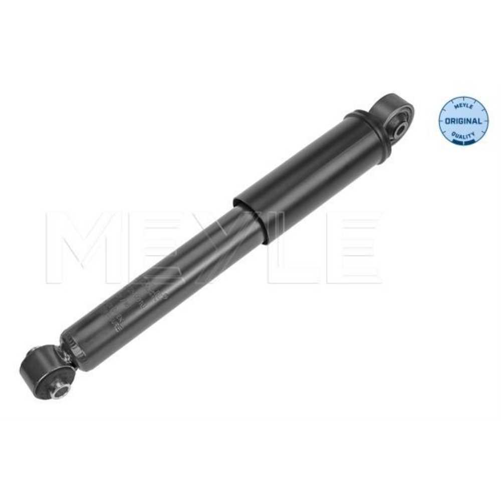 Stoßdämpfer 226 725 0010 Hinterachse für Fiat 500 C 312 312_ 500C/595C/695C Ford KA RU8