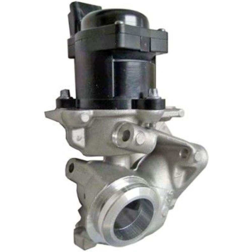 HELLA 6NU 010 171-091 AGR-Ventil
