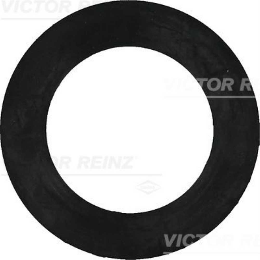 VICTOR REINZ Dichtring | 102425563