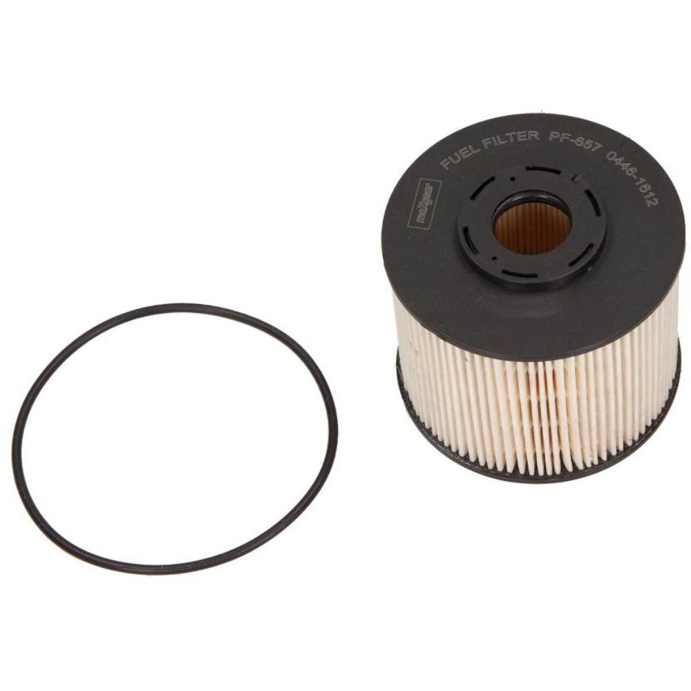 MAXGEAR Kraftstofffilter für Ford Kuga II Peugeot Expert Tepee Citroën C5 III